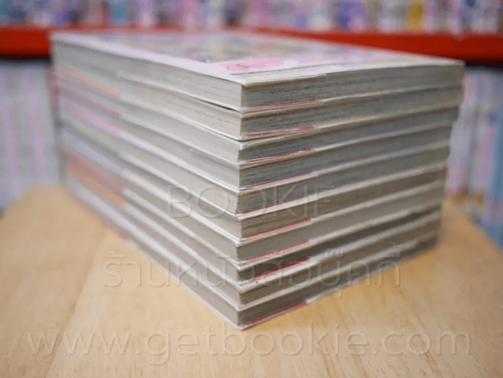 Gals 10 เล่มจบ รูปที่ 5