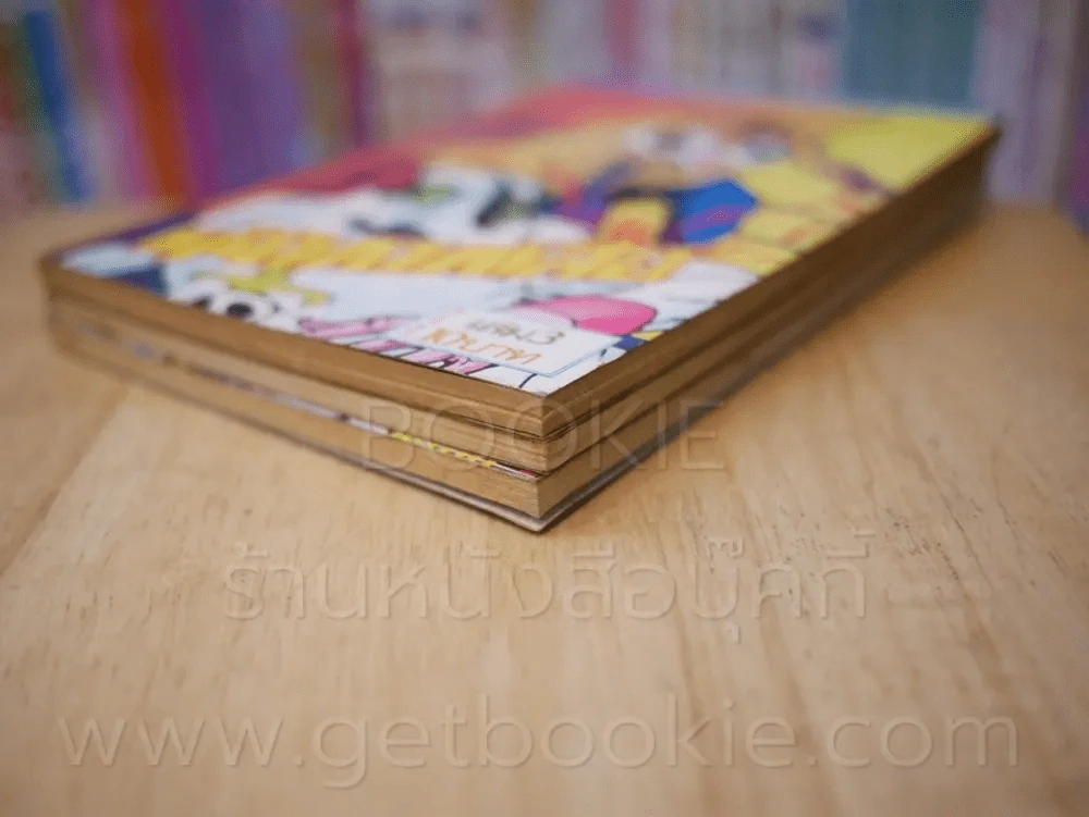 หน้ากากเสือ เล่ม 1-3 รูปที่ 4
