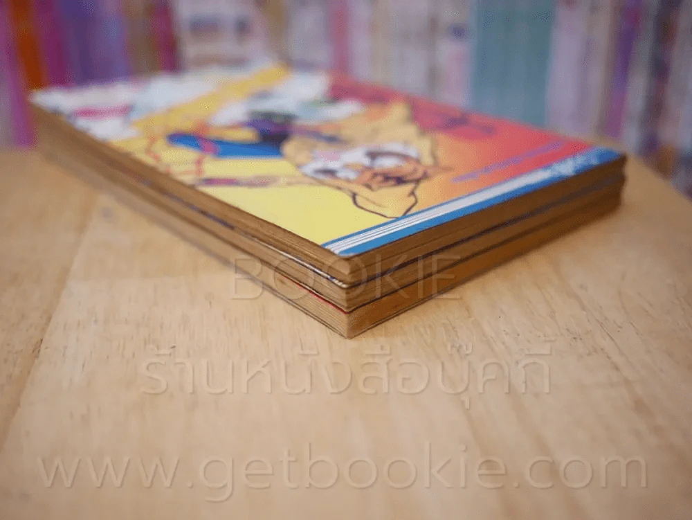 หน้ากากเสือ เล่ม 1-3 รูปที่ 5