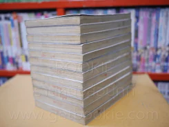 รอน วีรบุรุษชาติมังกร เล่ม 1-12 รูปที่ 4