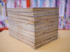 เล็กเซียวหงส์ 12 เล่มจบ (ขาดเล่ม 6) รูปที่ 5