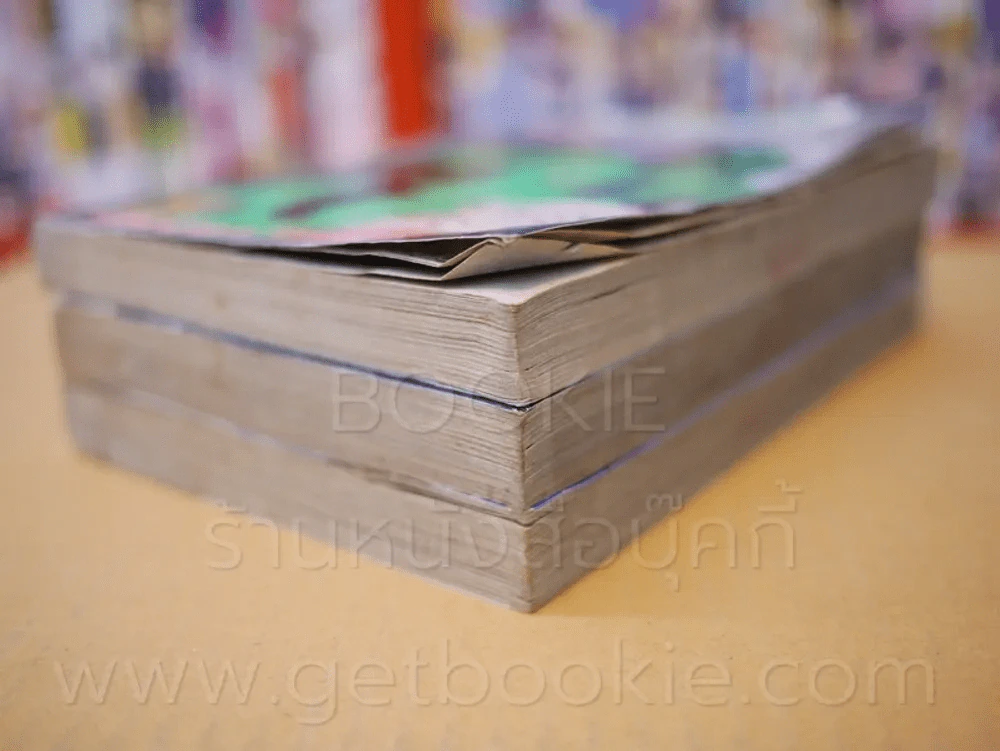 ตระกูลนี้อย่าแหยม 2 เล่มจบ + เล่ม 3 Series รูปที่ 4