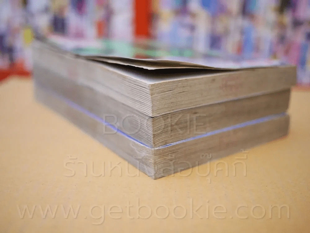ตระกูลนี้อย่าแหยม 2 เล่มจบ + เล่ม 3 Series รูปที่ 5