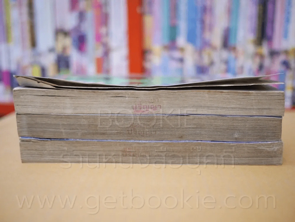 ตระกูลนี้อย่าแหยม 2 เล่มจบ + เล่ม 3 Series รูปที่ 3