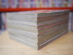3+1 ชุลมุนลุ้นรัก 9 เล่มจบ รูปที่ 4
