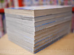 หนุ่มนักวาดกับสาวจอมจุ้น 11 เล่มจบ (ขาดเล่ม 10) รูปที่ 4