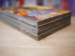 สำนักพยัคฆ์มังกร ภาค Dragon Tiger Gate 4 เล่มจบ รูปที่ 5