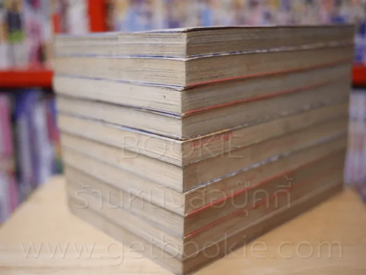 ตามล่าหาหนุ่มหน้าใส 10 เล่มจบ รูปที่ 4