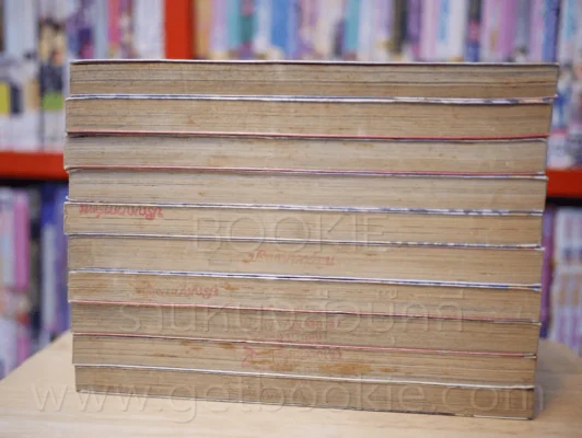 ตามล่าหาหนุ่มหน้าใส 10 เล่มจบ รูปที่ 3