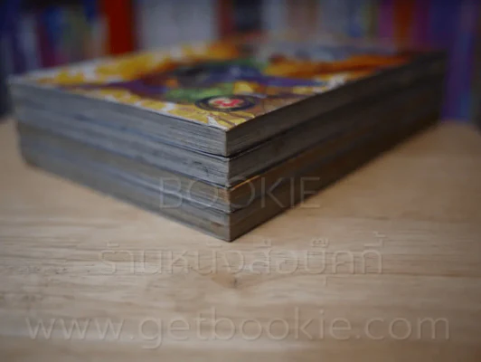 สำนักพยัคฆ์มังกร ภาค Dragon Tiger Gate 4 เล่มจบ รูปที่ 4