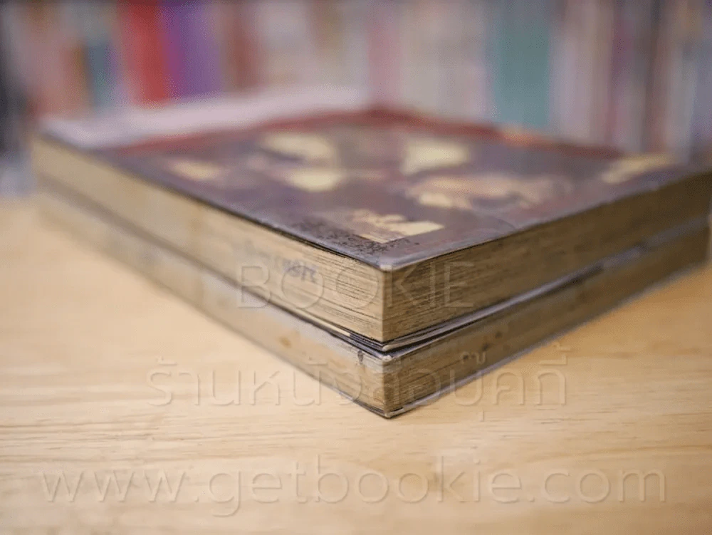 เสือสาวพันธุ์สังหาร C.A.T. 2 เล่มจบ รูปที่ 5