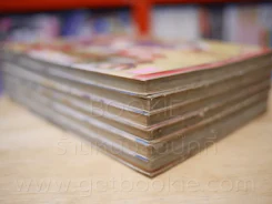 ตำรวจสาวจอมซ่าส์ 7 เล่มจบ (ขาดเล่ม 3) รูปที่ 5
