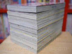 อันบาลานซ์ X 2 10 เล่มจบ รูปที่ 4