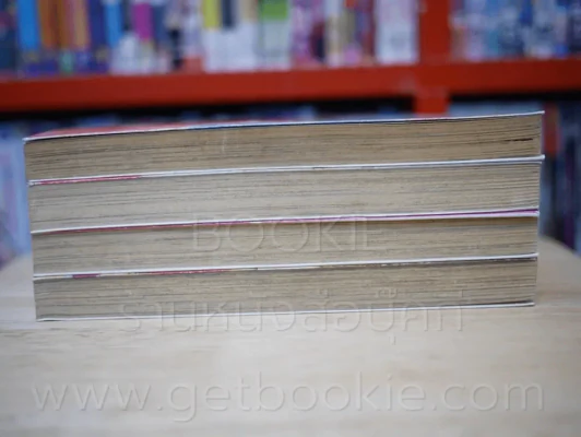อลวนรัก อลหม่านเลิฟ เล่ม 1-4 รูปที่ 3