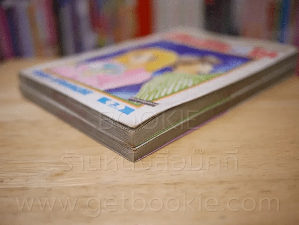ดวงดาวแห่งรัก 2 เล่มจบ รูปที่ 4