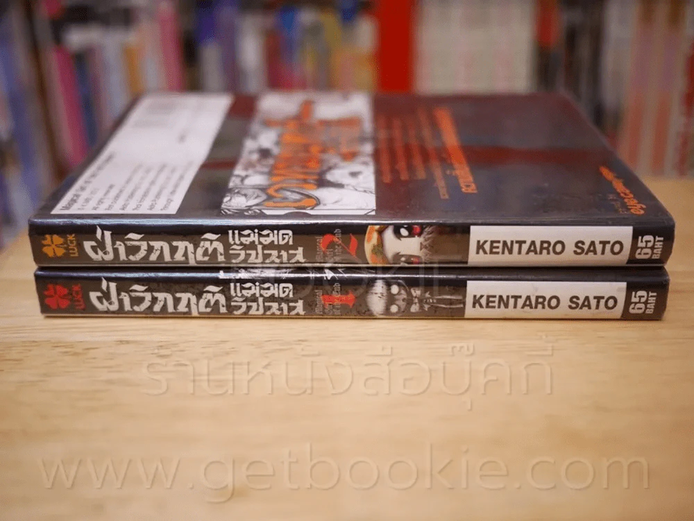 ฝ่าวิกฤติแม่มดวิปลาส เล่ม 1-2 รูปที่ 2