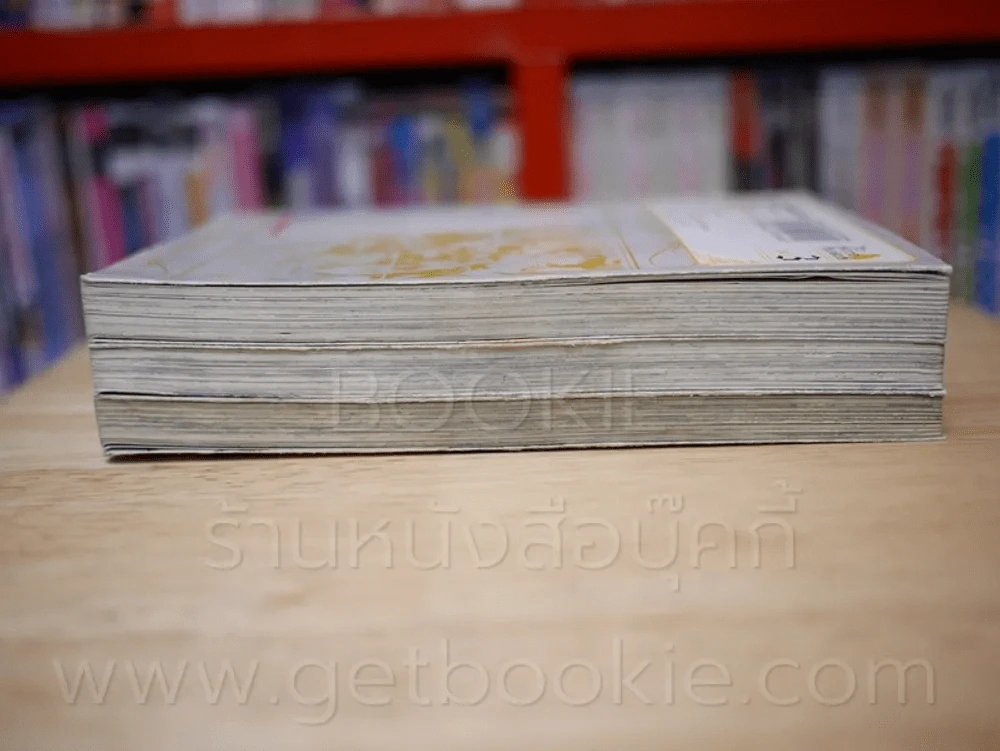 สงครามดาบศักดิ์สิทธิ์ เล่ม 1-3 รูปที่ 3