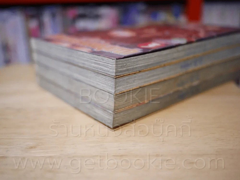 ตำนานแม่มดสุดซ่า เล่ม 1-4 รูปที่ 4