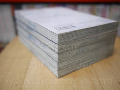 Dolls ดอลล์ เล่ม 1-5 รูปที่ 5
