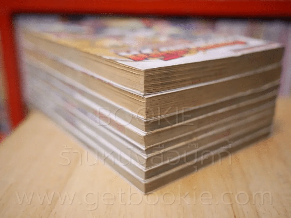 สเลเยอร์ส ตำนานจอมเวทย์สาว เล่ม 1-8 รูปที่ 5