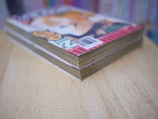 ดาวรุ่งตุงตาข่าย 2 เล่มจบ รูปที่ 5