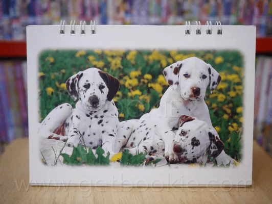 ปฏิทินตั้งโต๊ะ Robinson 2001 รูปที่ 2