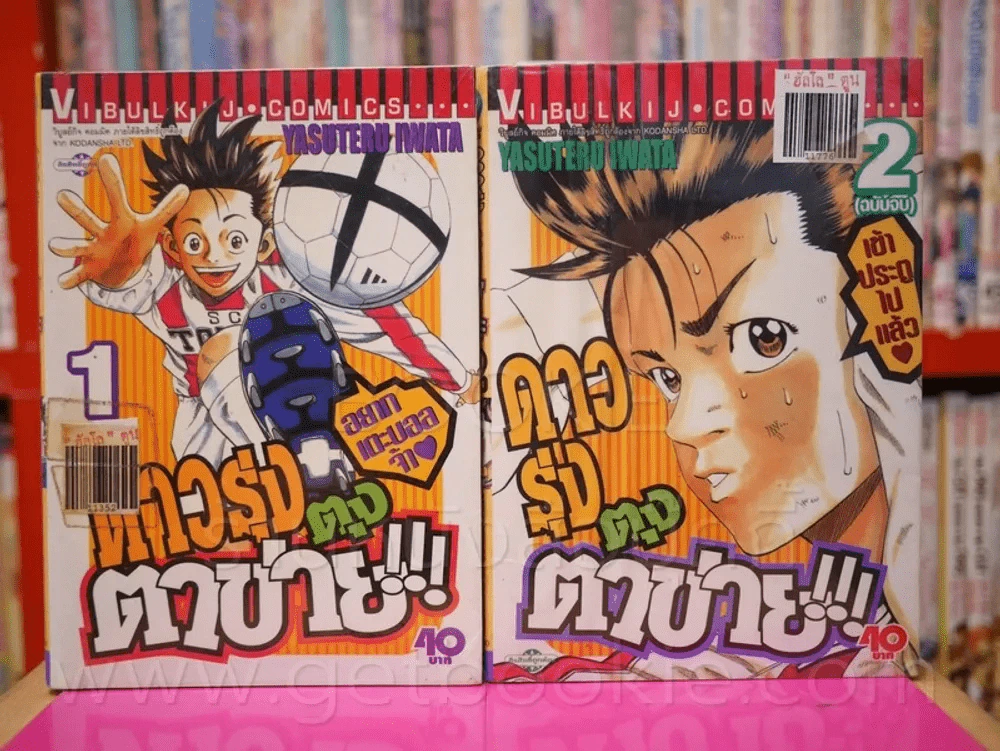 ดาวรุ่งตุงตาข่าย 2 เล่มจบ รูปที่ 1