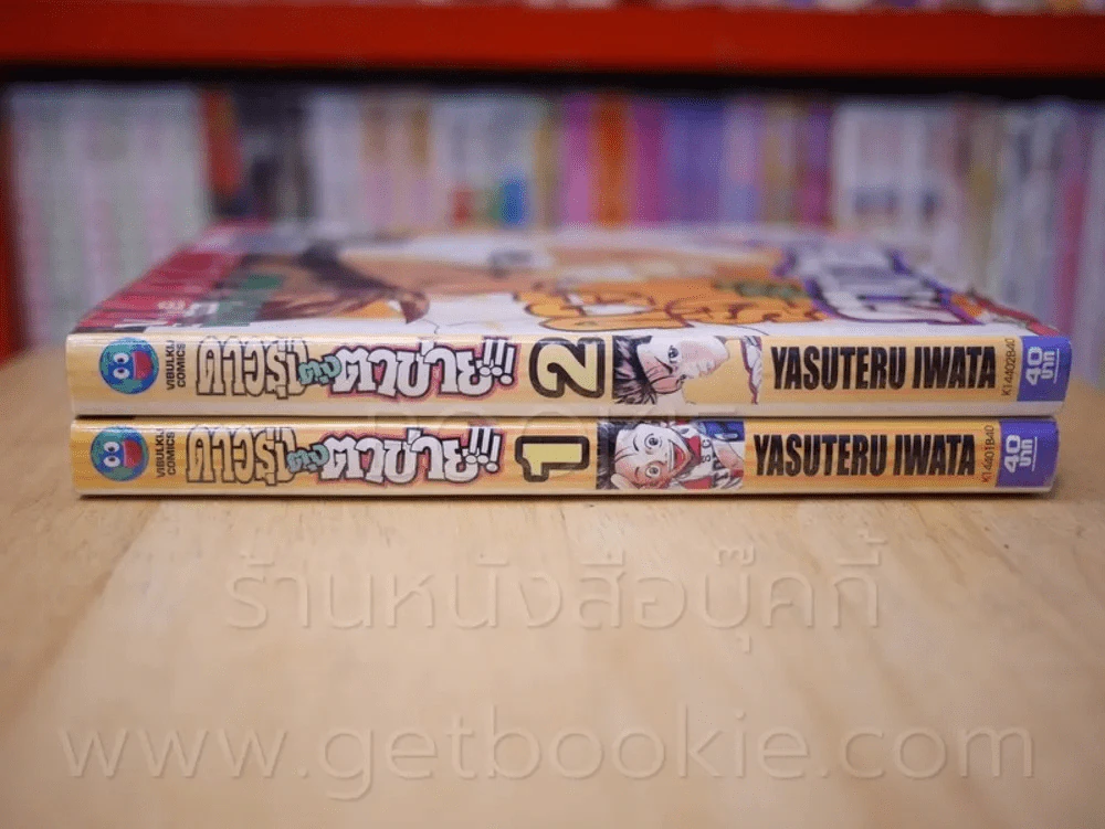 ดาวรุ่งตุงตาข่าย 2 เล่มจบ รูปที่ 2