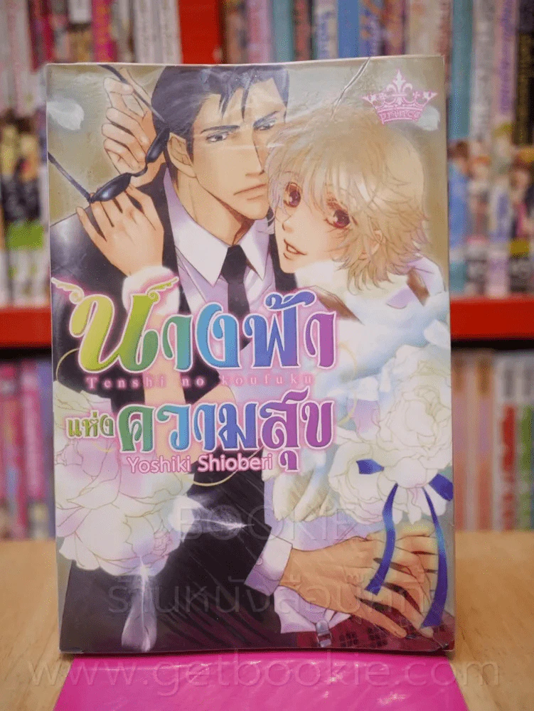 นางฟ้าแห่งความสุข รูปที่ 1
