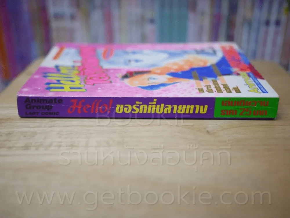 Hello ขอรักที่ปลายทาง รูปที่ 2