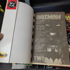 Batman No Man's Land 5 เล่มจบ รูปที่ 16
