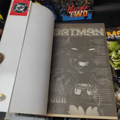 Batman No Man's Land 5 เล่มจบ รูปที่ 15