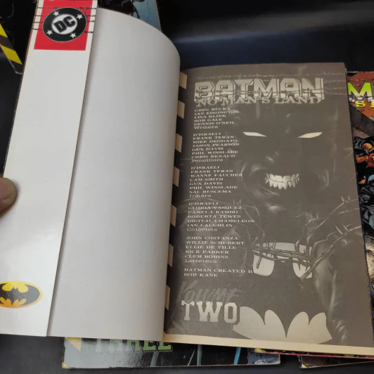 Batman No Man's Land 5 เล่มจบ รูปที่ 16