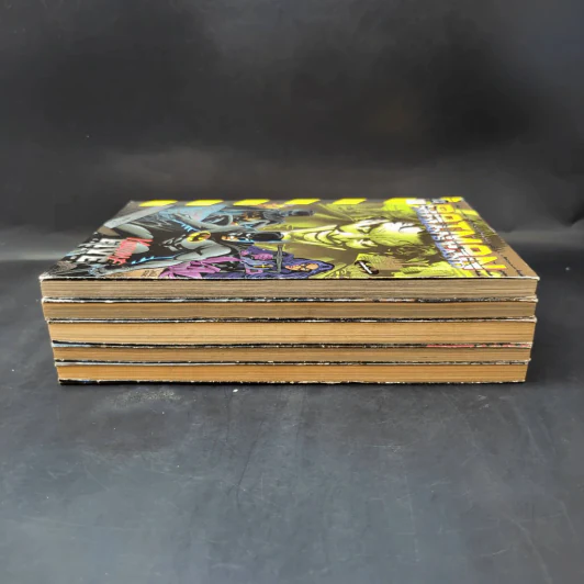 Batman No Man's Land 5 เล่มจบ รูปที่ 9