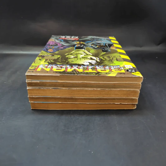 Batman No Man's Land 5 เล่มจบ รูปที่ 10