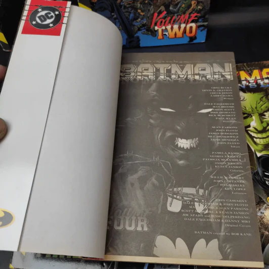 Batman No Man's Land 5 เล่มจบ รูปที่ 15