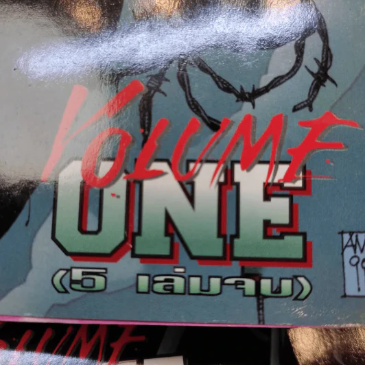 Batman No Man's Land 5 เล่มจบ รูปที่ 23