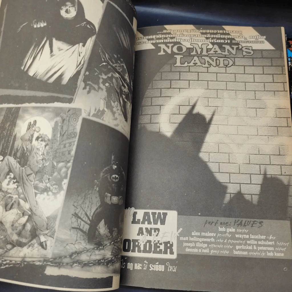 Batman No Man's Land 5 เล่มจบ รูปที่ 19