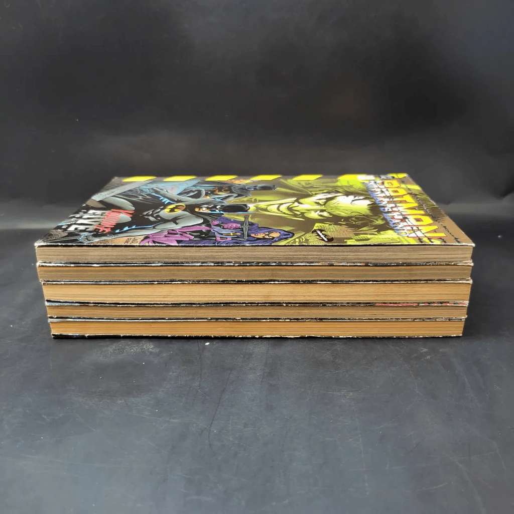 Batman No Man's Land 5 เล่มจบ รูปที่ 9