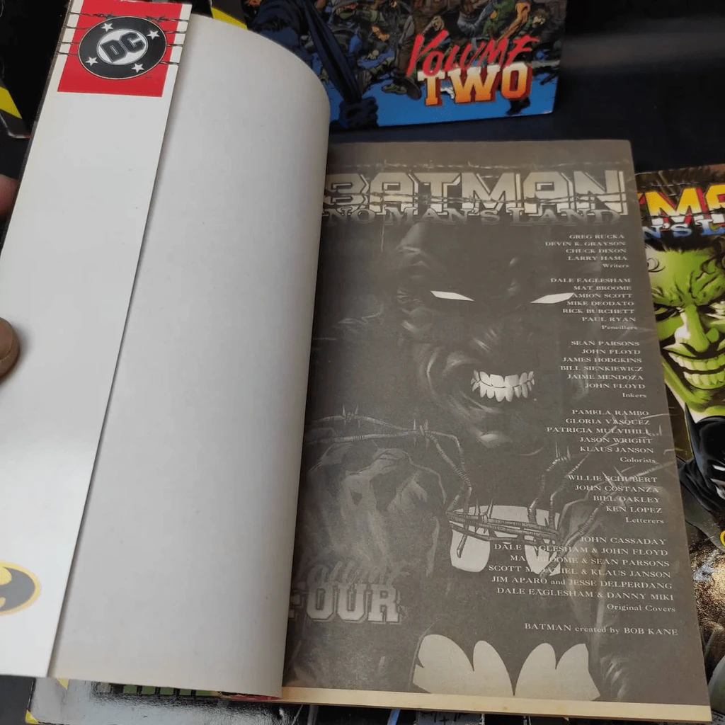 Batman No Man's Land 5 เล่มจบ รูปที่ 15