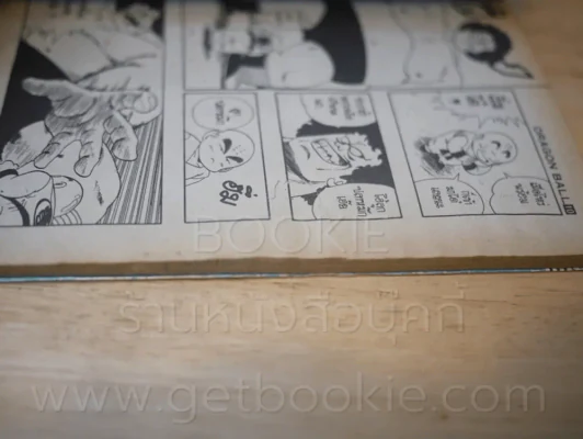 Dragon Ball ดราก้อนบอล 42 เล่มจบ (เล่ม 1/4/10/16/18/21/26/27/29/30/31 สภาพตามภาพ) รูปที่ 10