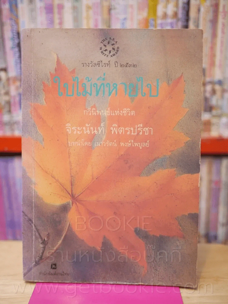 ใบไม้ที่หายไป - จิระนันท์ พิตรปรีชา (สภาพบวมน้ำ) รูปที่ 1