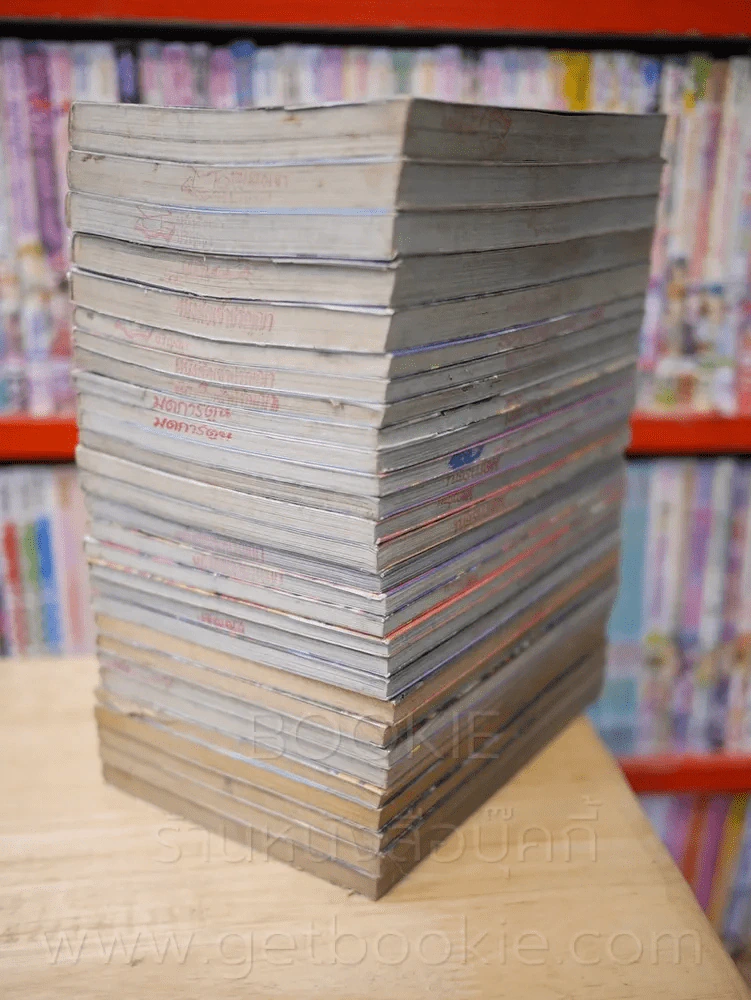 2 พี่น้องตระกูลโหด 31 เล่มจบ (ขาดเล่ม 20/21) เล่ม 23 มีรอยแทะตามภาพ รูปที่ 4
