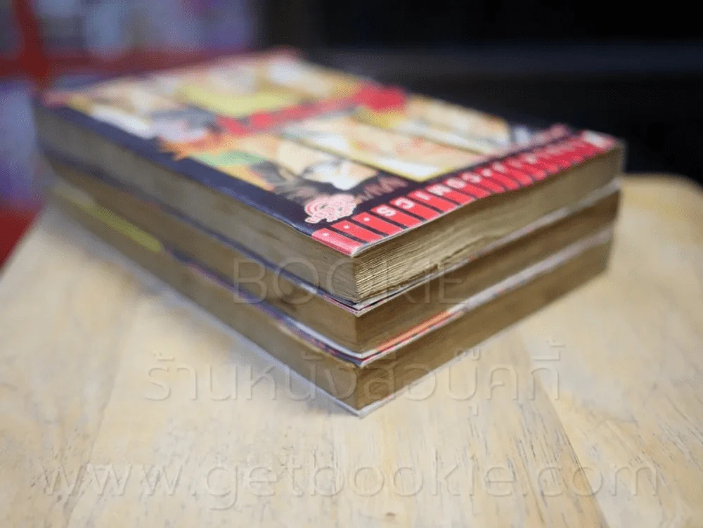 เรียกเขาว่าอีกา ภาคพิเศษ 3 เล่มจบ รูปที่ 5