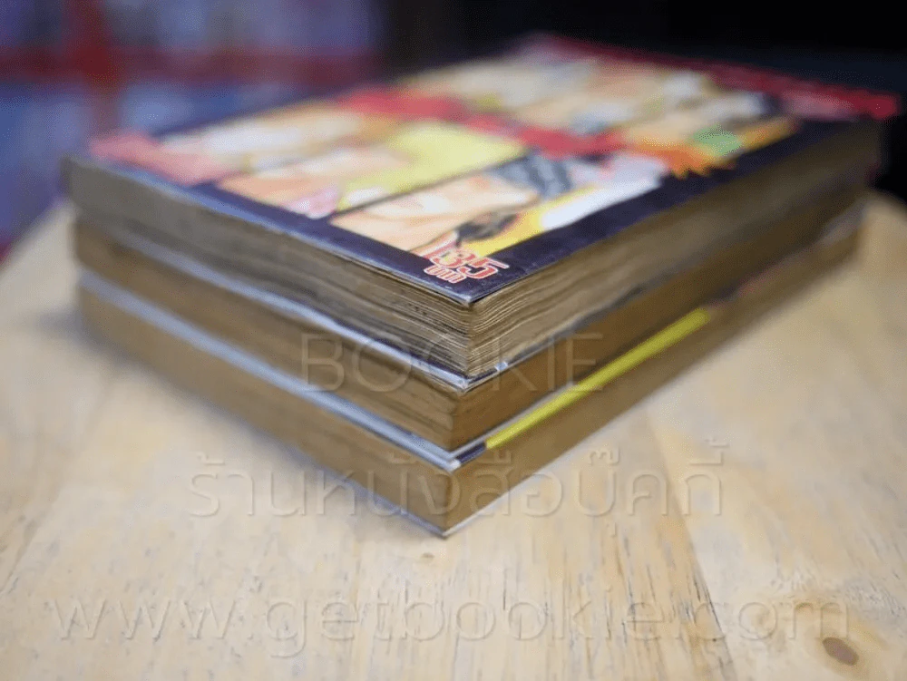 เรียกเขาว่าอีกา ภาคพิเศษ 3 เล่มจบ รูปที่ 4