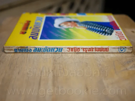 ยามเมื่อลมพัดหวน - วาณิช จรุงกิจอนันต์ รูปที่ 2