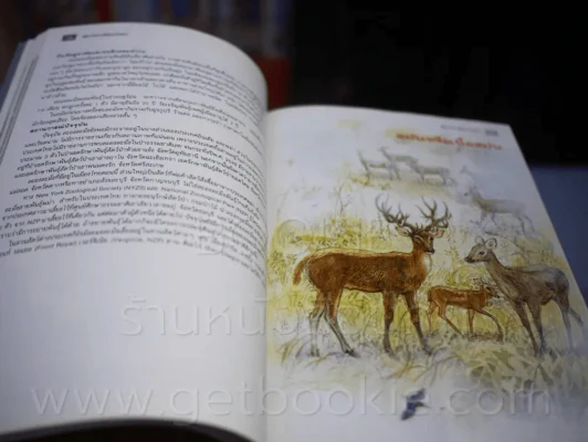 สัตว์ป่าเมืองไทย ก่อนจะเหลือเพียงความทรงจำ รูปที่ 3