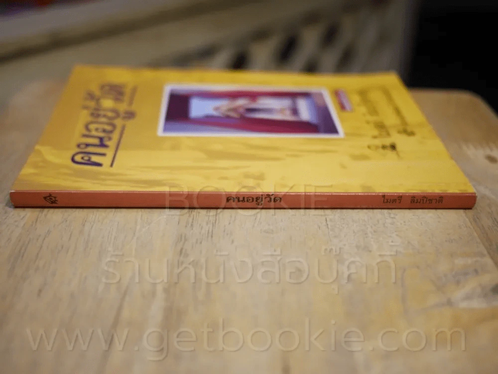 คนอยู่วัด - ไมตรี ลิมปิชาติ รูปที่ 2