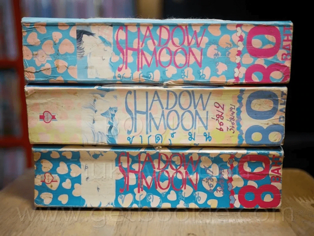 Shadow Moon ชาโดว์มูน 3 เล่มจบ (ผู้เขียน นัยน์ตาเธอสีม่วง) รูปที่ 2