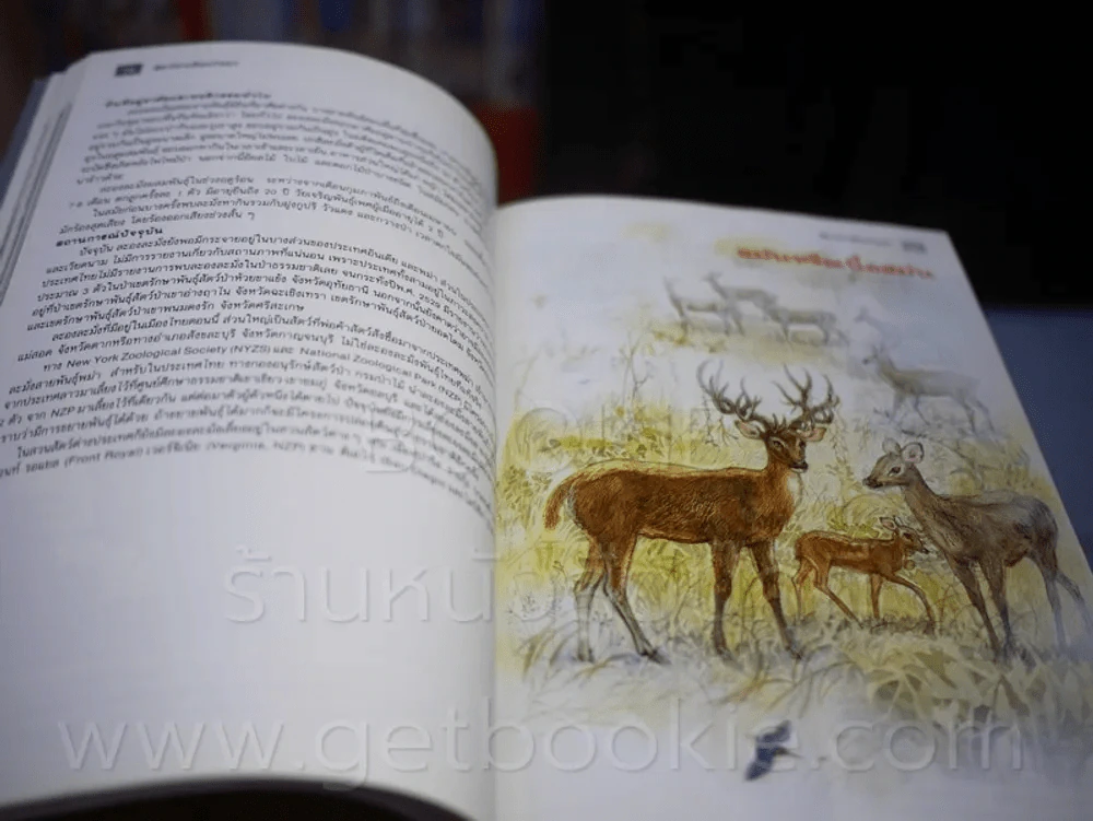 สัตว์ป่าเมืองไทย ก่อนจะเหลือเพียงความทรงจำ รูปที่ 3